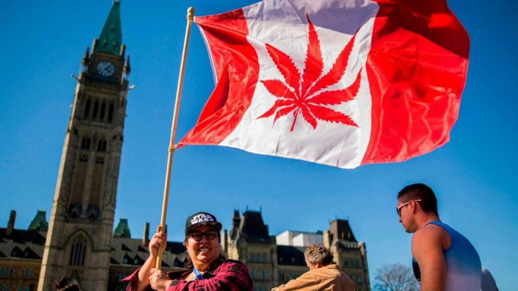 Cannabis Legalization in Canada and What it Means for the U.S.